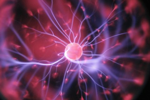 La neuroéducation en action : immersion dans un workshop d’équipe