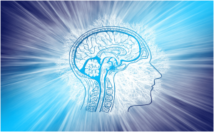Cerveau stylisé illustrant la neuroéducation en formation